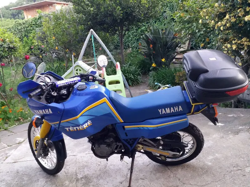 Yamaha XT 600 Z Tenerè (1990 - 92) (4)