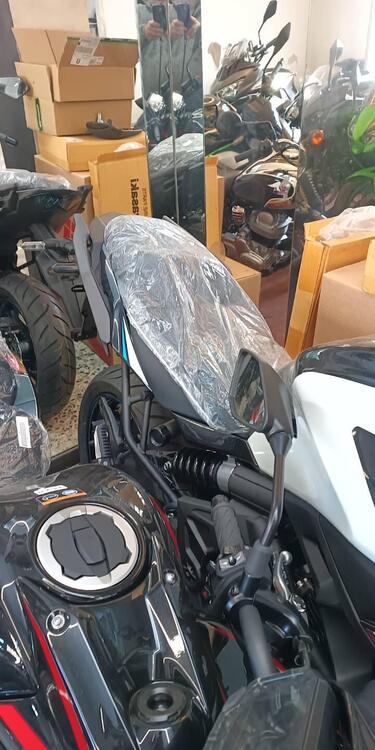 Kawasaki Versys 650 (2025 - 26) (2)