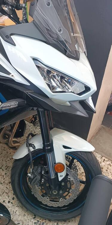 Kawasaki Versys 650 (2025 - 26) (3)
