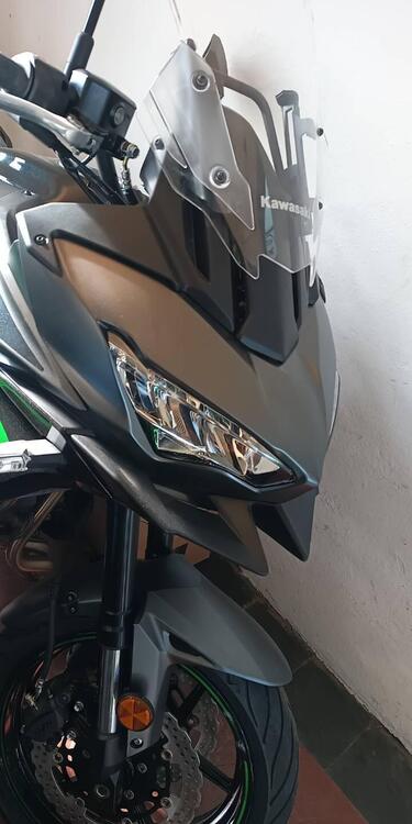 Kawasaki Versys 650 (2025 - 26) (2)