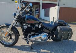 Harley-Davidson Softail Standard (2020) - FXST usata