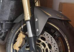Triumph Speed Triple 1050 (2005 - 11) usata