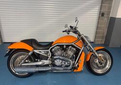 Harley-Davidson 1130 V-Rod (2002 - 05) - VRSCA usata
