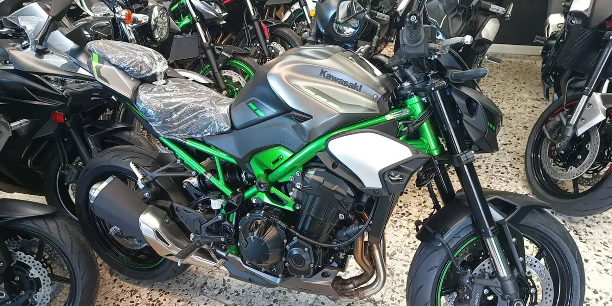 Kawasaki Z 900 (2025 - 26)