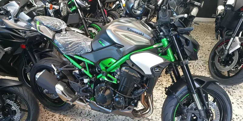 Kawasaki Z 900 (2025 - 26)