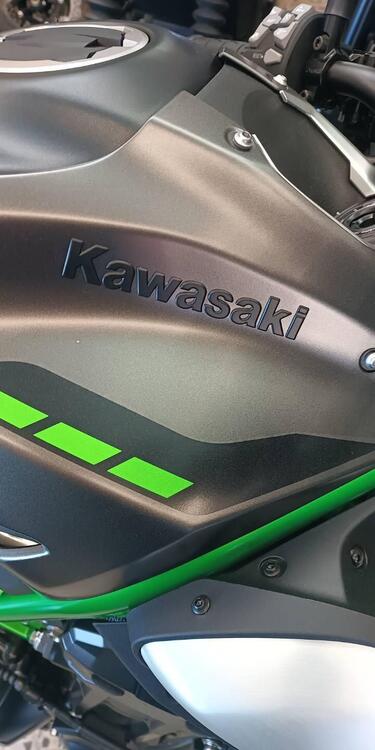 Kawasaki Z 900 (2025 - 26) (4)