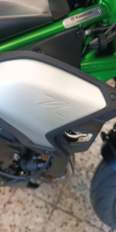 Kawasaki Z 900 (2025 - 26) (5)