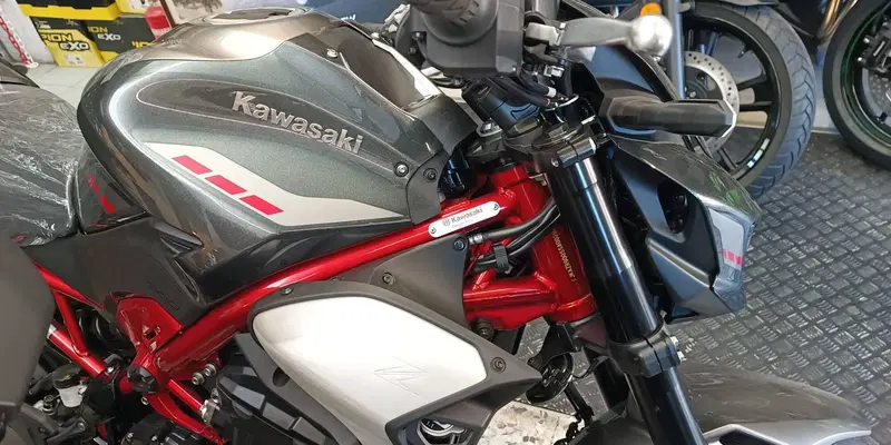 Kawasaki Z 900 (2025 - 26)