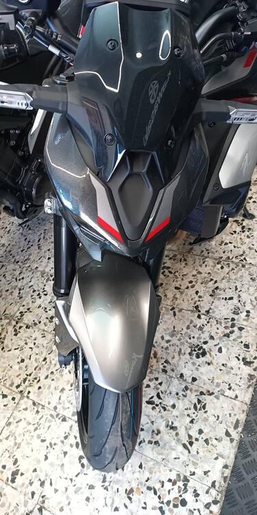 Kawasaki Z 900 (2025 - 26) (2)