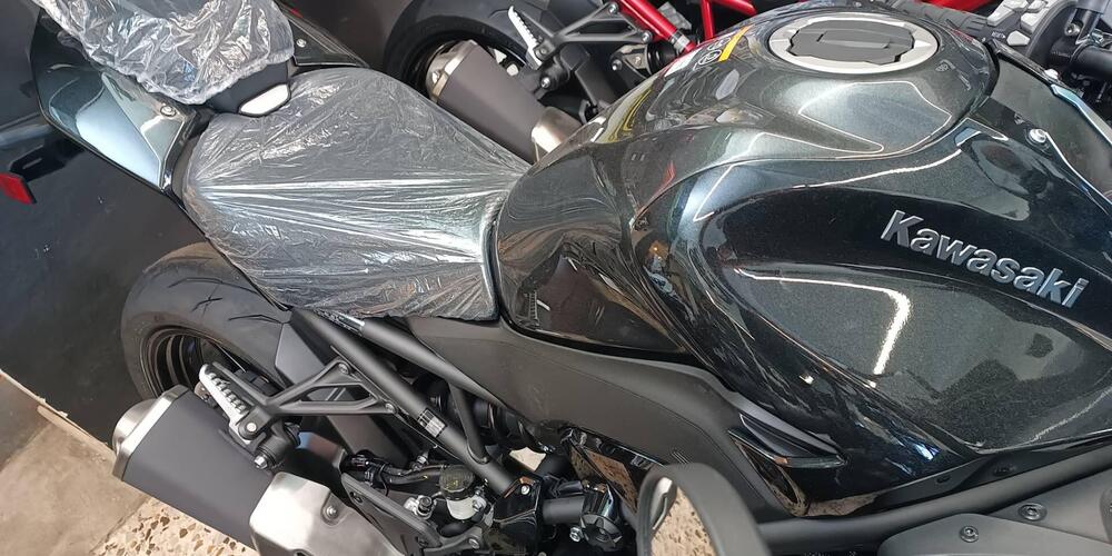 Kawasaki Z 900 (2025 - 26) (4)