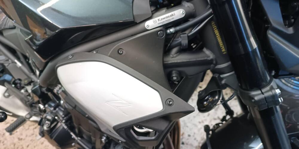 Kawasaki Z 900 (2025 - 26) (5)