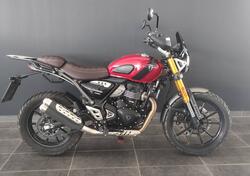 Triumph Scrambler 400 X (2024 - 25) usata