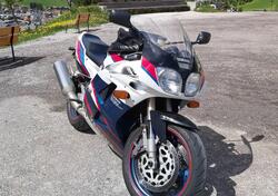 Yamaha FZR 1000 Exup (1994 - 95) usata