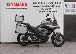 Voge Valico 500DS (2021 - 24) usata