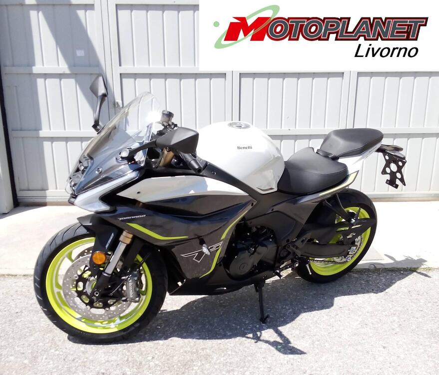 Benelli Tornado 550 (2025) (3)