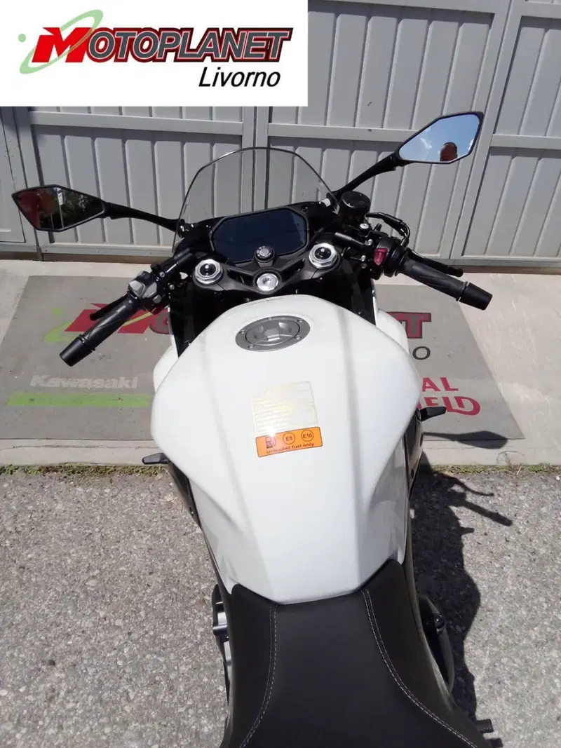 Benelli Tornado 550 (2025 - 26) (7)