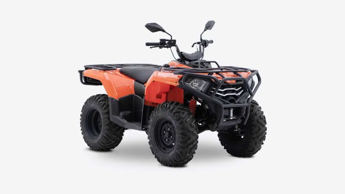 Loncin XWOLF 300 XWOLF 300 (2025 - 26)