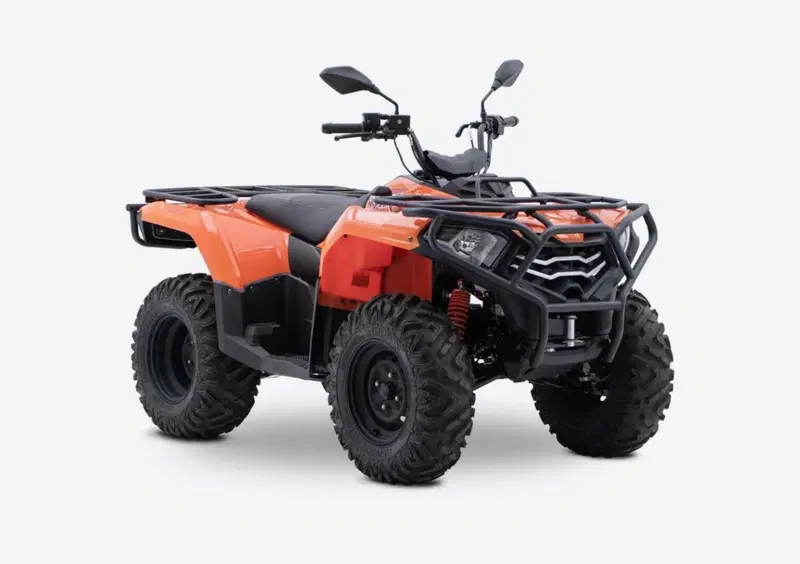 Loncin XWOLF 300 XWOLF 300 (2025 - 26)
