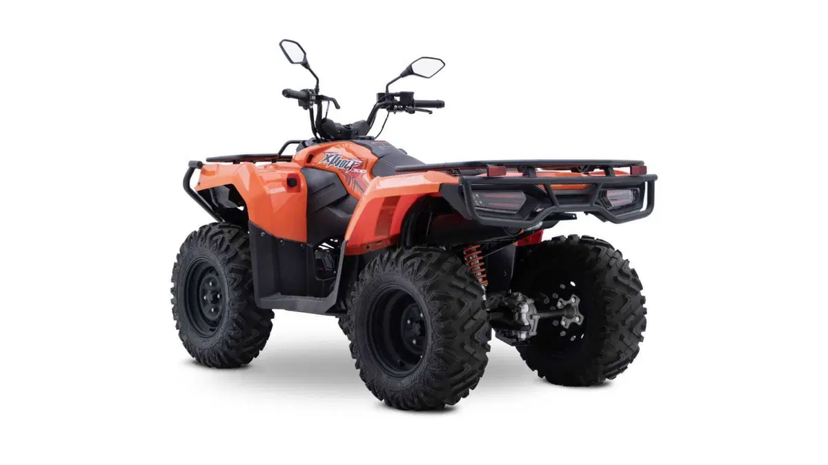 Loncin XWOLF 300 XWOLF 300 (2025 - 26) (3)