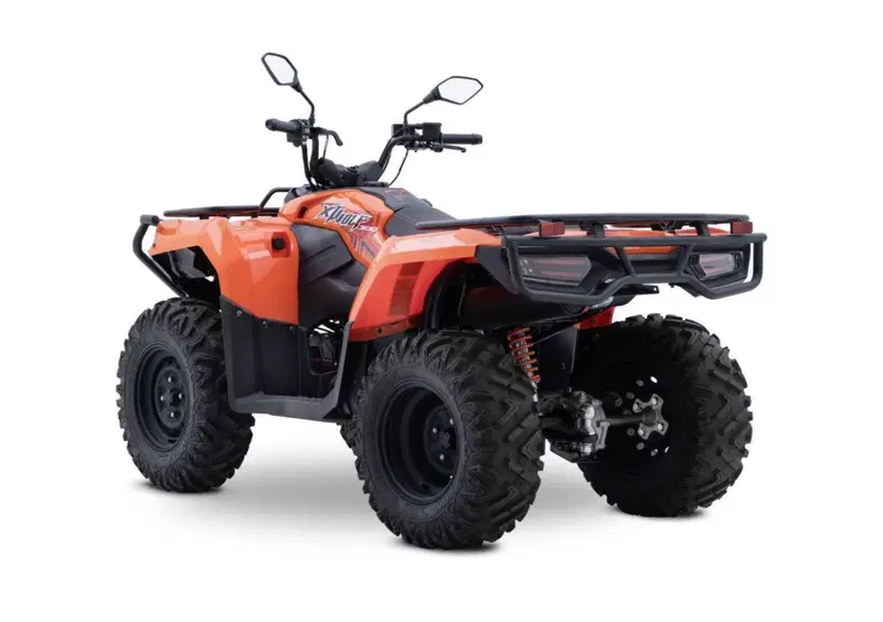 Loncin XWOLF 300 XWOLF 300 (2025 - 26) (3)
