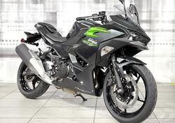 Kawasaki Ninja 500 (2024 - 25) nuova