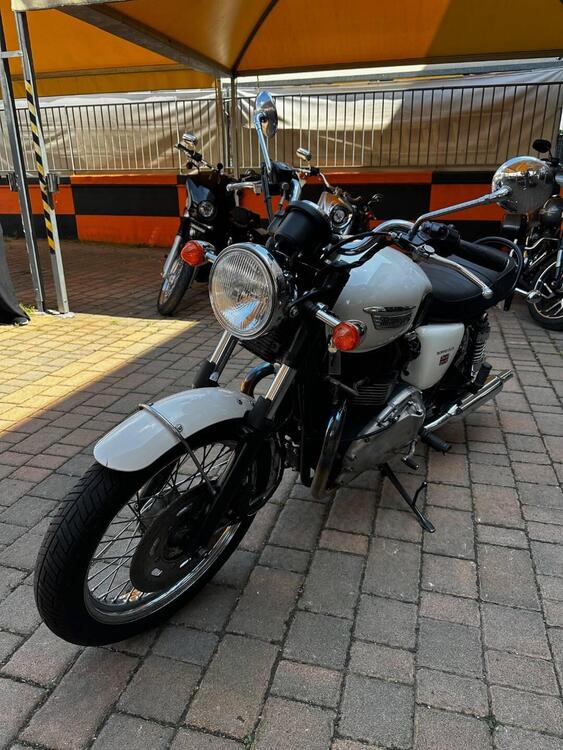 Triumph Bonneville (2007 - 16) (4)