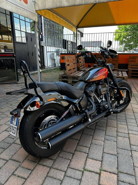 Harley-Davidson Street Bob 114 (2021 - 24) (2)