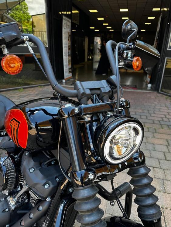 Harley-Davidson Street Bob 114 (2021 - 24) (5)