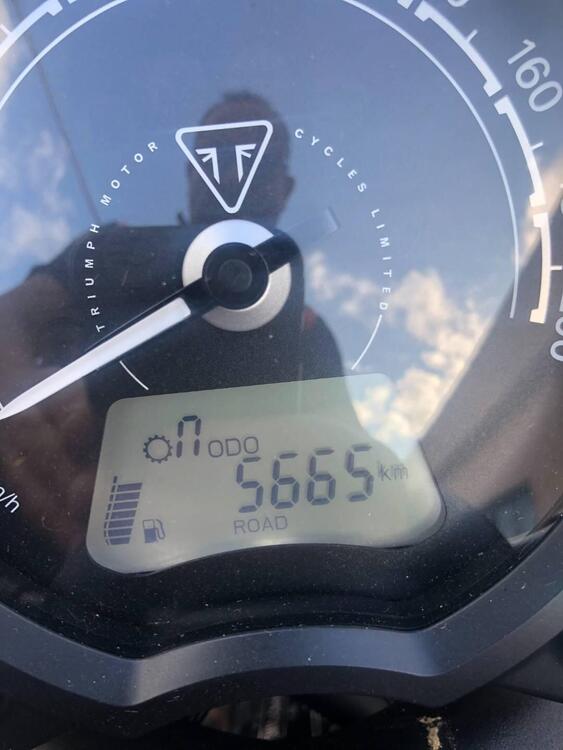 Triumph Bonneville Bobber 1200 Gold Line Edition (2022) (5)