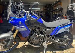 Yamaha Ténéré 700 (2022 - 24) usata