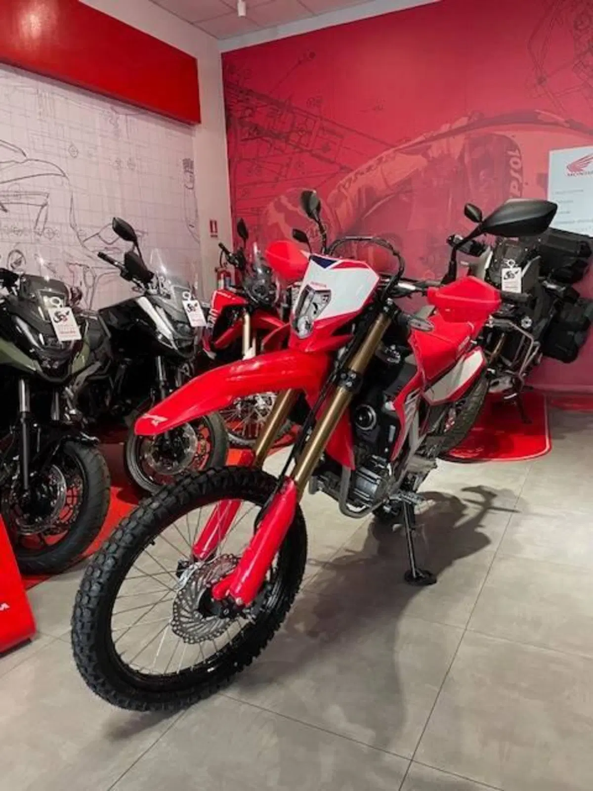 Honda CRF 300L (2025 - 26)
