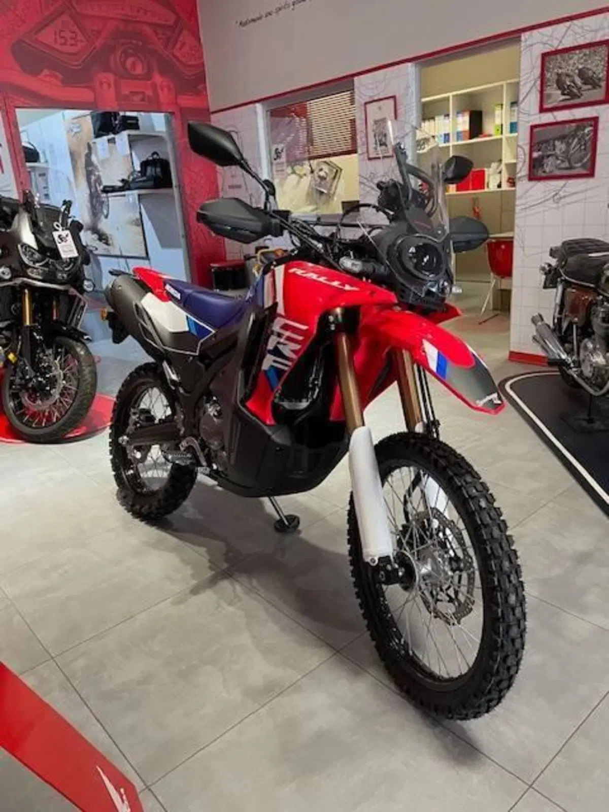 Honda CRF 300 Rally (2025 - 26) (6)