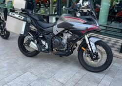 Voge Valico 500DSX (2021 - 24) usata