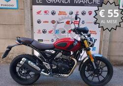 Triumph Scrambler 400 X (2024 - 25) usata