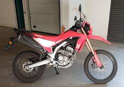 Honda CRF 300 L (2021 - 24) usata