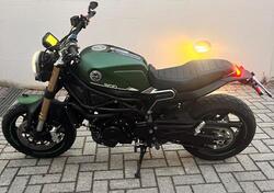 Benelli Leoncino 800 (2022 - 25) usata