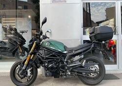 Benelli Leoncino 800 (2022 - 25) usata