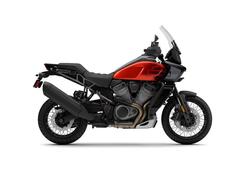 Harley-Davidson Pan America 1250 Special (2020 - 25) nuova
