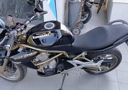Kawasaki ER-6N (2006 - 09) usata