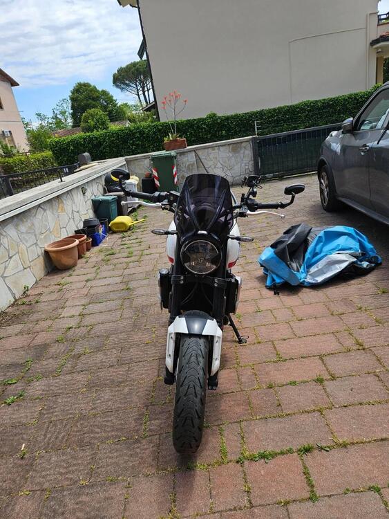 Triumph Trident 660 (2021 - 24) (2)