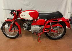 Aermacchi Harley-Davidson Ala Verde d'epoca