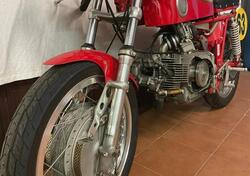 Aermacchi Harley-Davidson Ala D'oro d'epoca