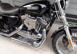 Harley-Davidson 1200 Low (2006 - 07) - XL 1200L usata
