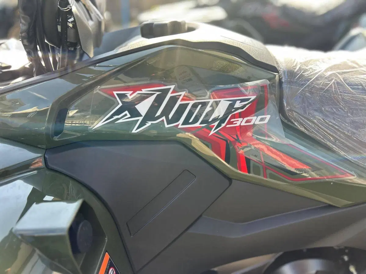 Loncin XWOLF 300 (2025 - 26) (7)