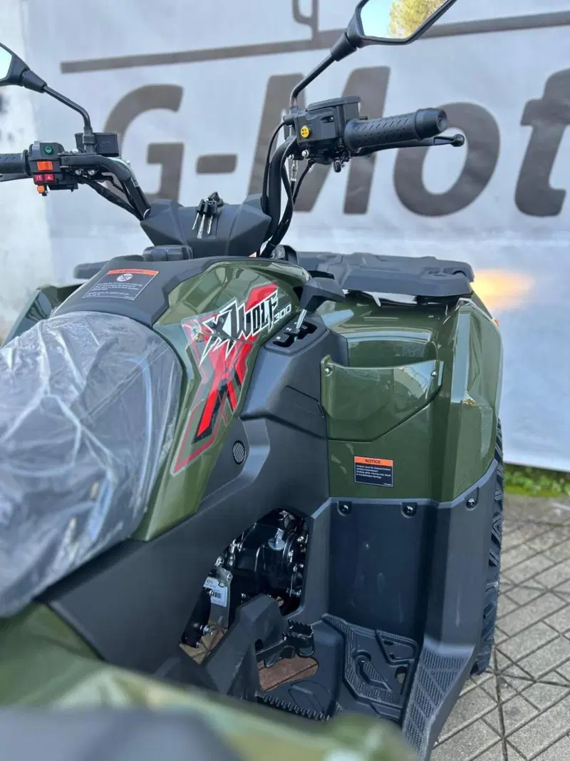 Loncin XWOLF 300 (2025 - 26) (10)