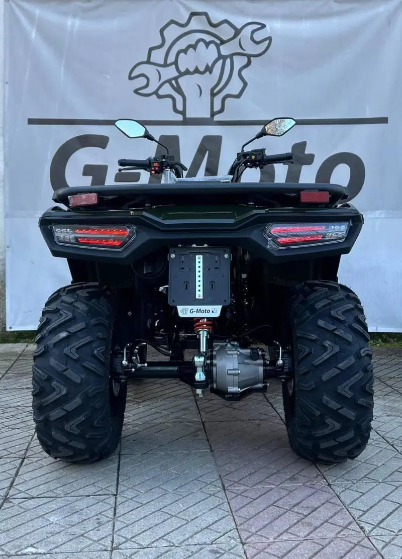 Loncin XWOLF 300 (2025 - 26) (3)