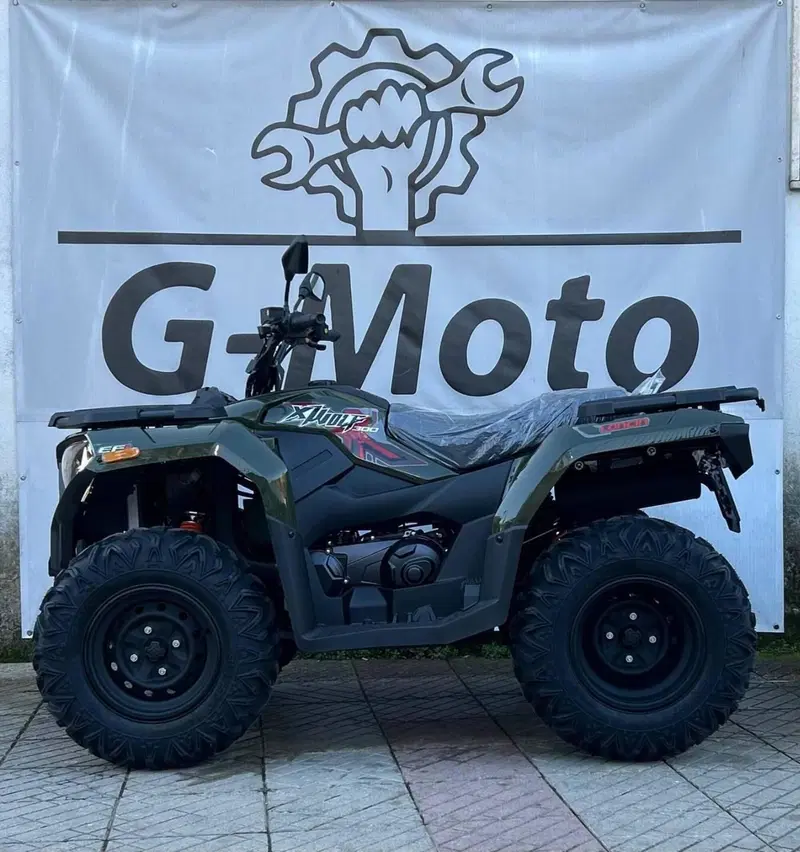 Loncin XWOLF 300 (2025 - 26) (5)