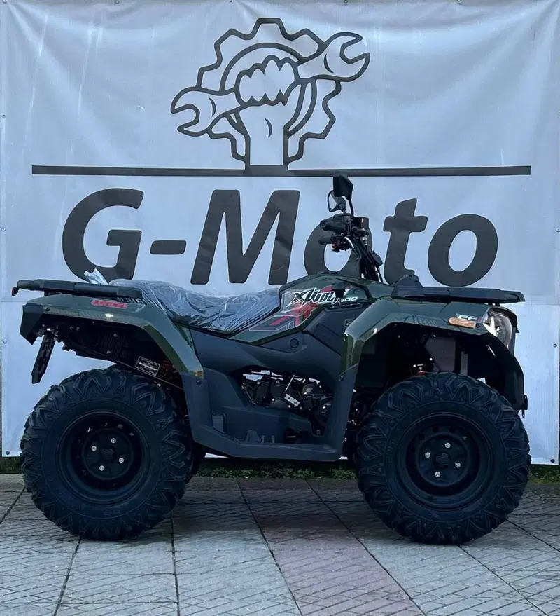 Loncin XWOLF 300 (2025 - 26) (4)