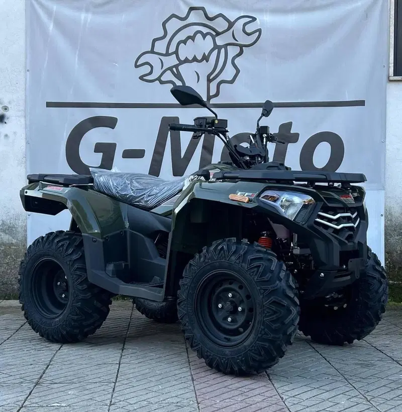 Loncin XWOLF 300 (2025 - 26)