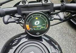 Harley-Davidson Nightster Special (2023 - 25) usata